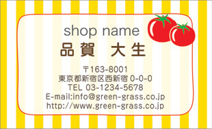 スーパー名刺 ヨコ型11