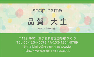 スーパー名刺 ヨコ型13