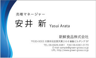 スーパー名刺 ヨコ型9